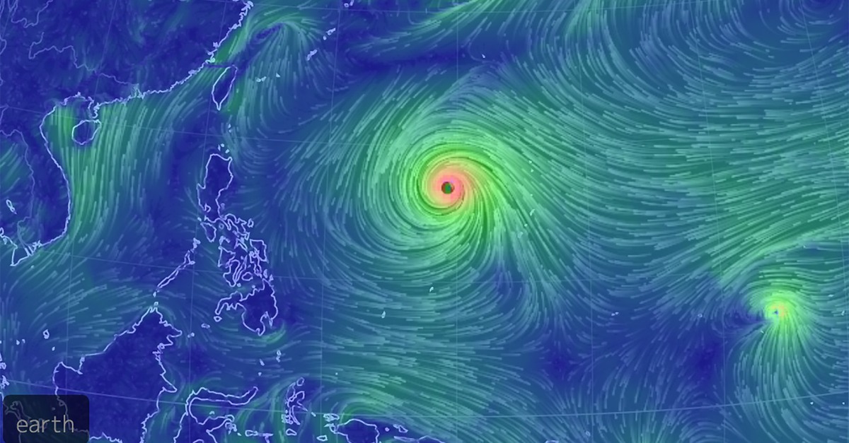 #TyphoonDolphin
