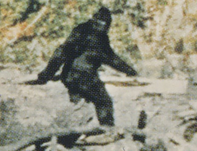 #CapturingBigfoot